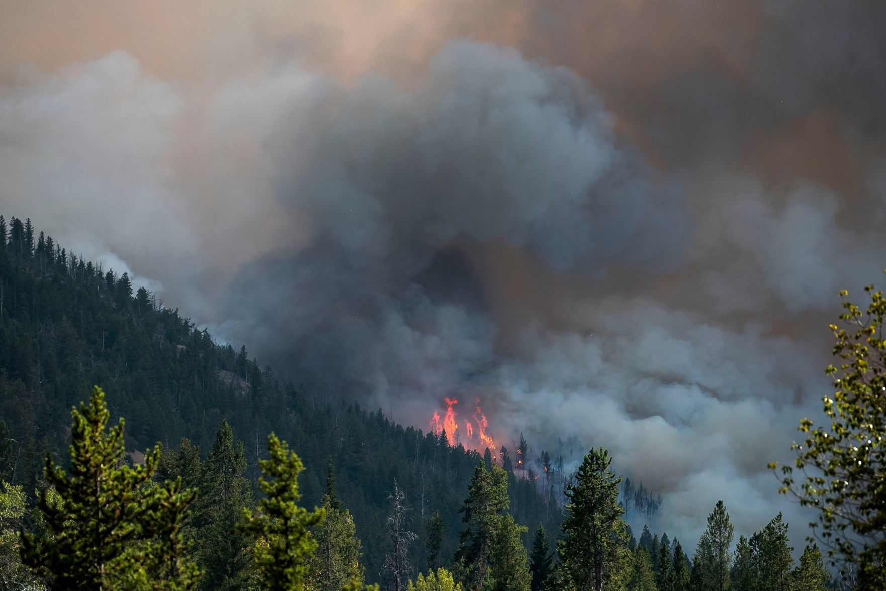 Fishhawk Fire